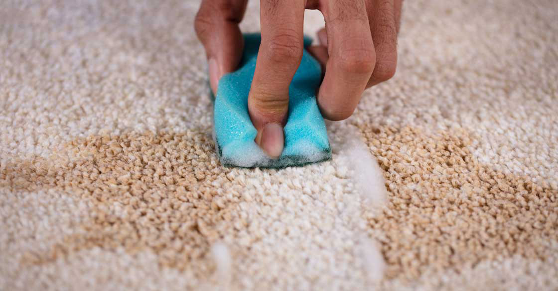 DIY carpet cleaning wine in carpet
