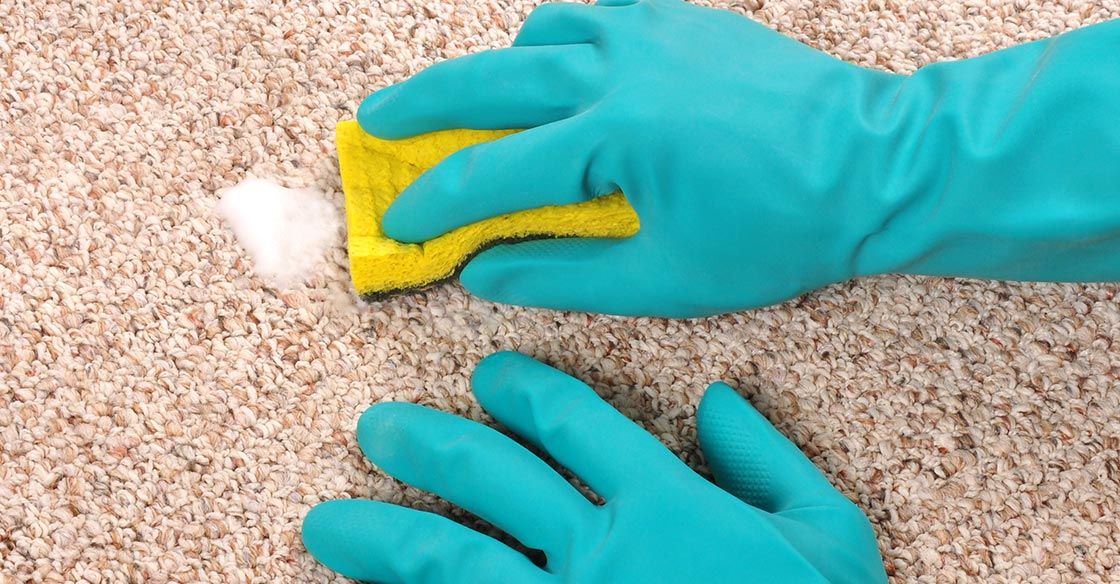 Professional Carpet Cleaner Secrets, Oil Stain On Rug
