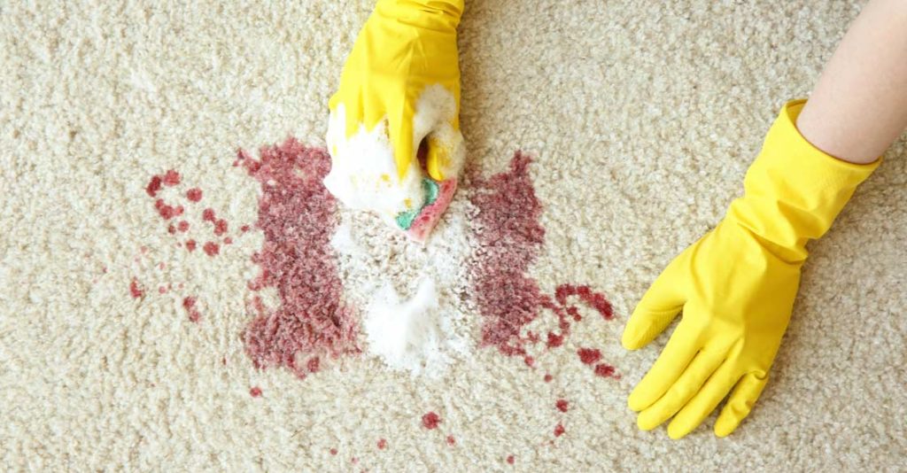 how to remove blood stains from carpet SteamCo